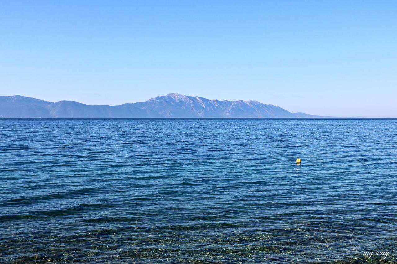 Family Appartement Gradac  Buitenkant foto